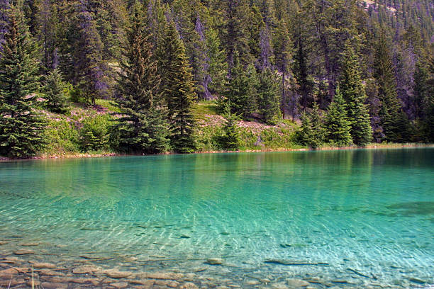 istock Valley of the Five Lakes 498099351