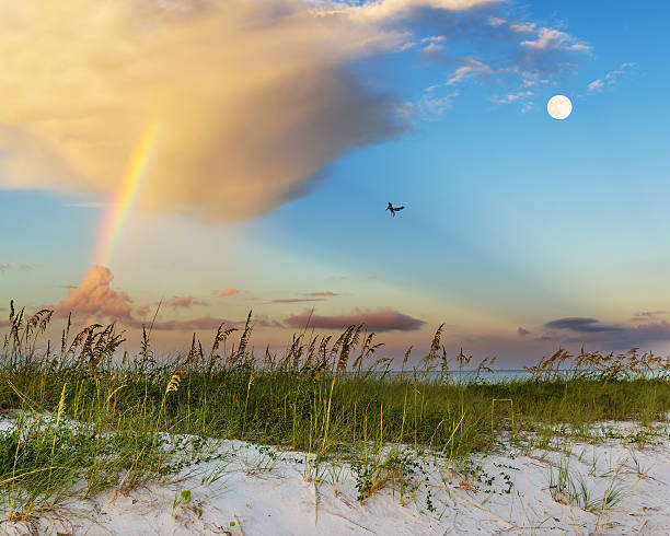 Beach scene on gulf coast in mississippi stock photo