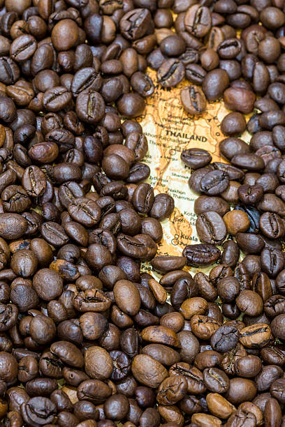 istock Map of Thailand under a background of coffee beans 498099376