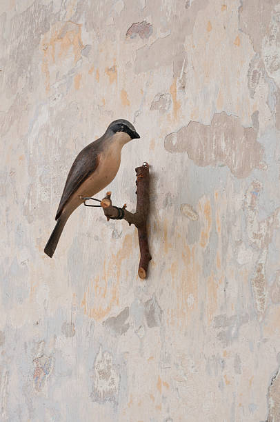 small carved bird on a patina wall
