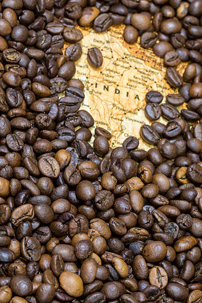istock Map of India under a background of coffee beans 498100424