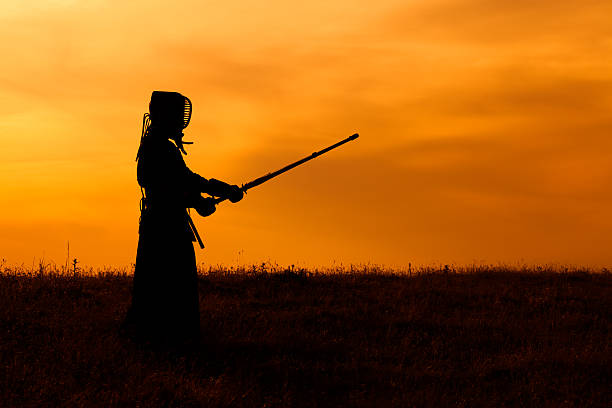 Kendo fighter Silhouette of kendo fighter with shinai kendo stock pictures, royalty-free photos & images