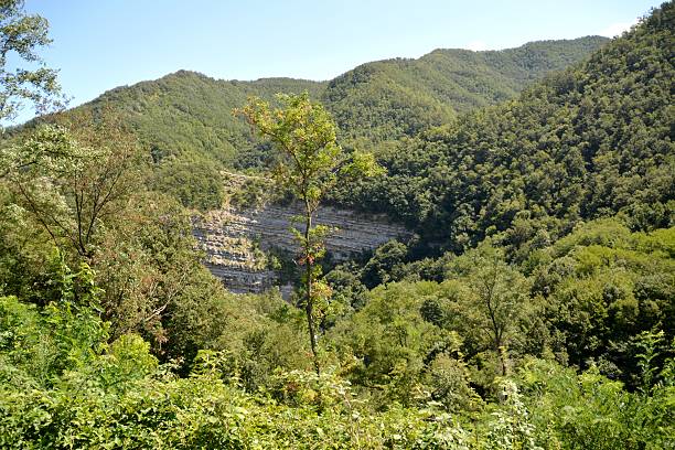 istock Montone valley, San Benedetto in Alpe, Italy 498100762