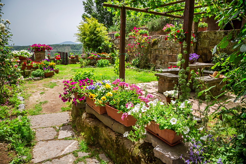 Garden in the city full of flowers