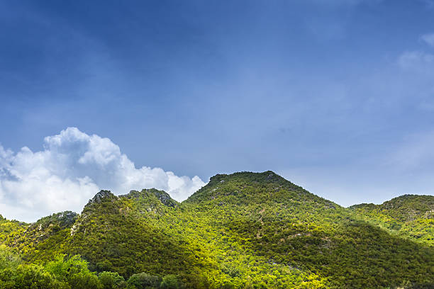 istock The green mountain and blue sky 498102693