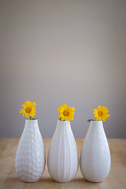 Tre vasi bianco con fiori gialli su un tavolo in legno. - foto stock