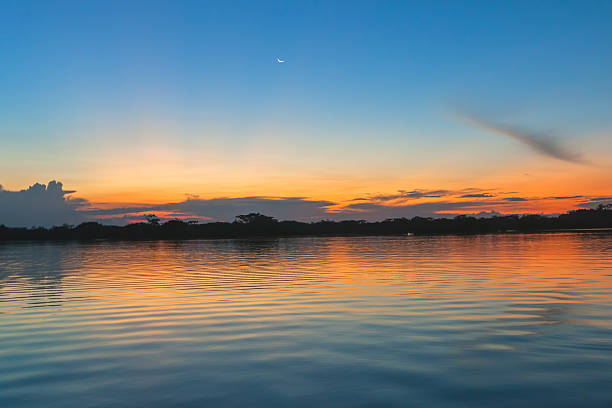 istock Cuyabeno Wildlife Reserve, South America 498111474