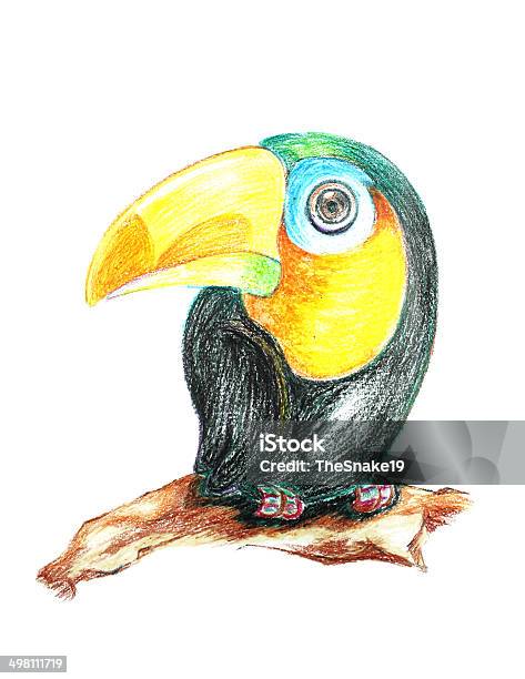 Parrot Drawing Stock Illustration - Download Image Now - Animal, Animal Body Part, Animal Mouth