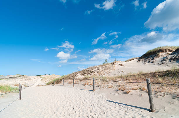 istock Sand Dunes And Grass Vegetation Background 498112194