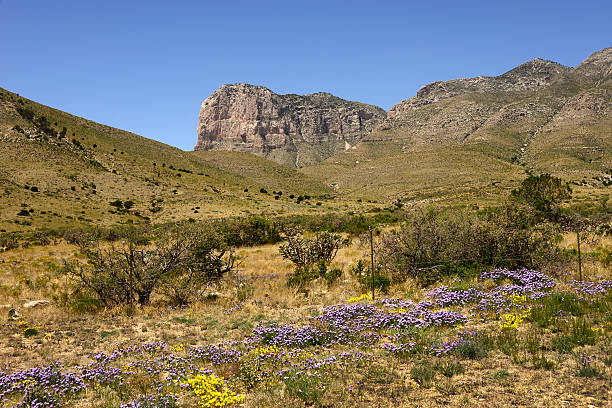 Spring at el capitan west texas Spring at el capitan west texas