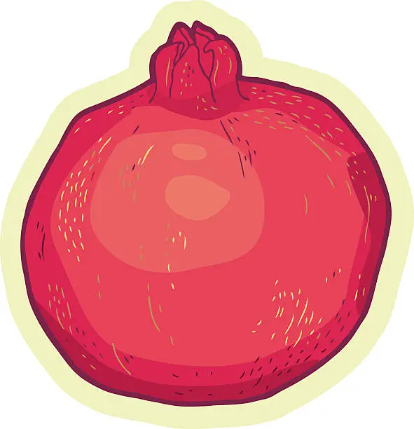 Vector illustration of Pomegranate - Illustration