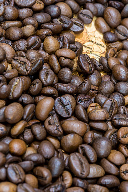 istock Map of Uganda under a background of coffee beans 498114182