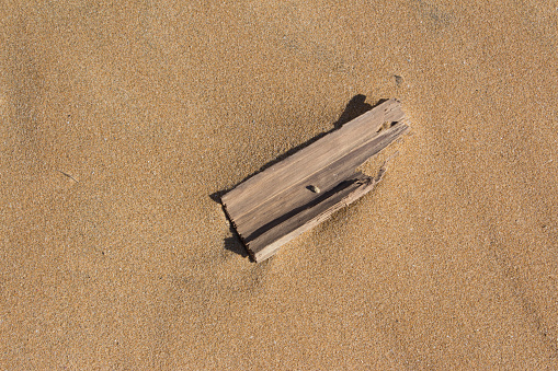 small piece of dry wood in the sand