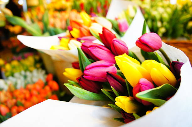 istock Bouquet of tulips 498114451