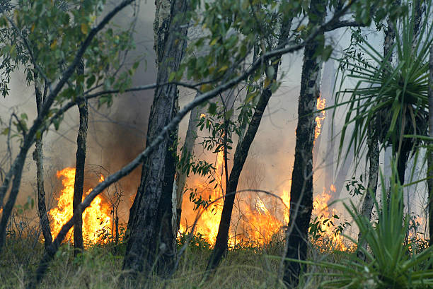 Bush Fires in Central Australia, 2009 stock photo