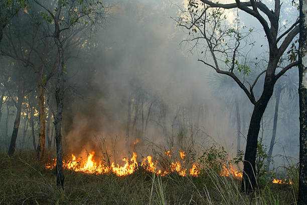 istock Bush Fires in Central Australia, 2009 498114665
