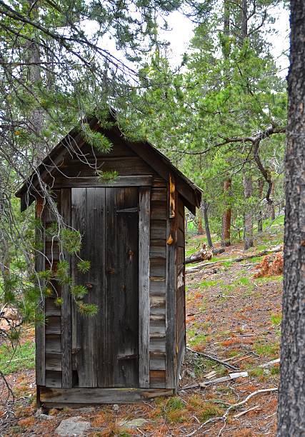 istock Abandoned Cabin in the Pines - Outhouse 498114857