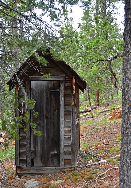 Abandoned Cabin in the Pines - Outhouse stock photo