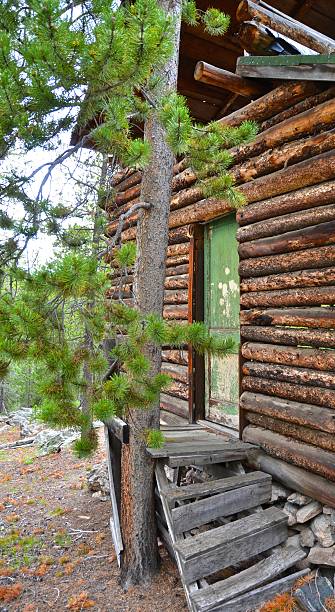 Abandoned Cabin in the Pines - Front Door stock photo