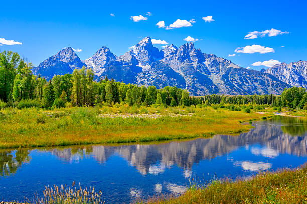 Grand Tetons mountains, summer, blue sky, water, reflections, Snake River Grand Tetons and Snake River from Schwabacher Landing. Grand Teton National Park. Near Jackson Hole, Wyoming jackson hole photos stock pictures, royalty-free photos & images