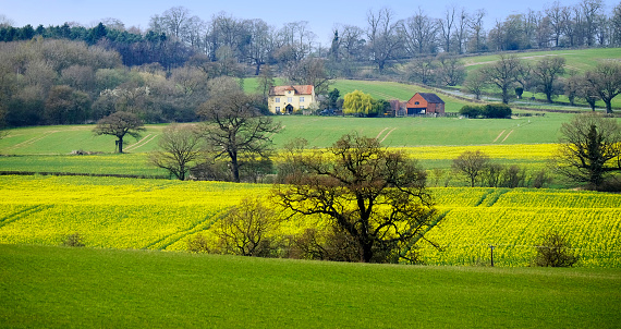 a view over a field  in a typical english farmland countryside landscape