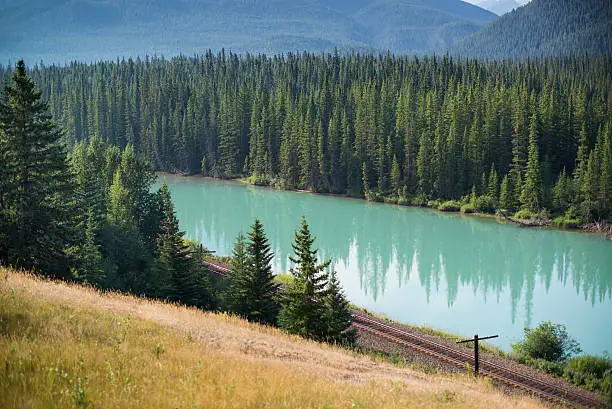 Emerald coloured river near Banff, Alberta, Canada