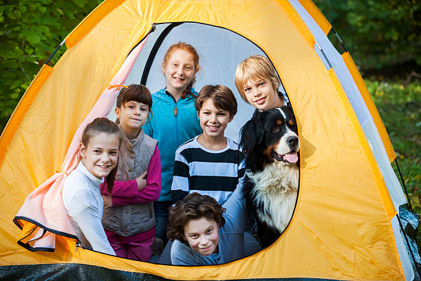 istock Great friendship at camp 498116938