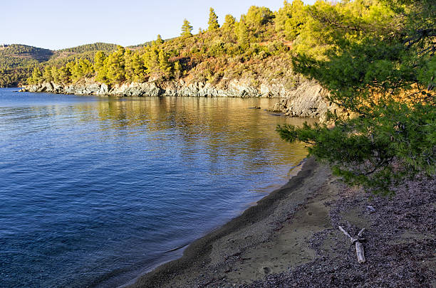 istock Wonderful beach at dusk in Sithonia, Chalkidiki, Greece 498117143