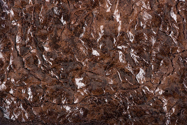 Brownies - Overhead stock photo