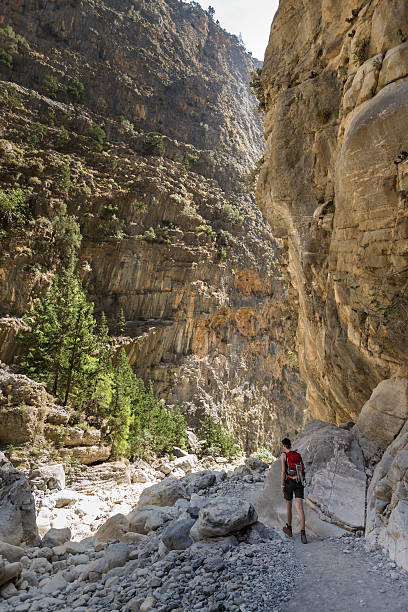 istock Bend of Samaria Gorge, Crete 498118028