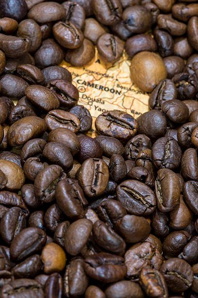 istock Map of Cameroon under a background of coffee beans 498118056