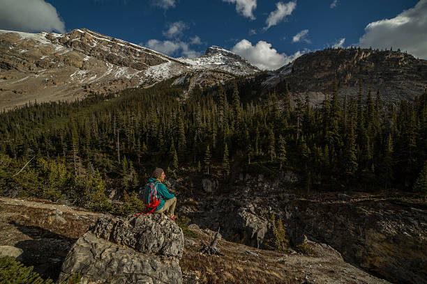 istock Young woman hiker sitting on rock looking at view 498118246