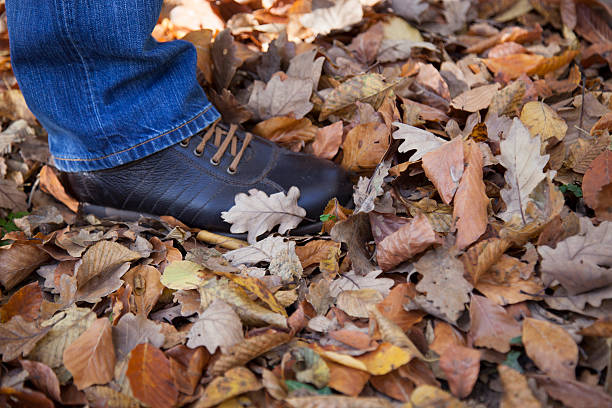 istock autumn leaves and shoes 498118524