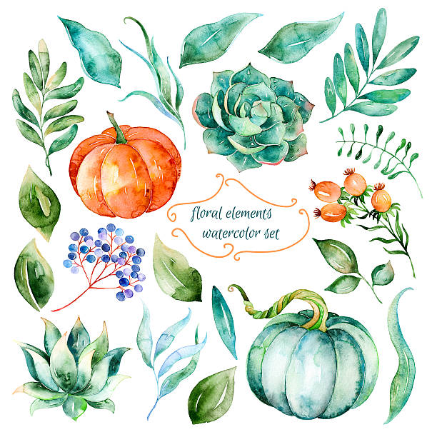 illustrations, cliparts, dessins animés et icônes de ensemble de haute qualité des éléments aquarelle peinte à la main - single flower flower autumn pumpkin