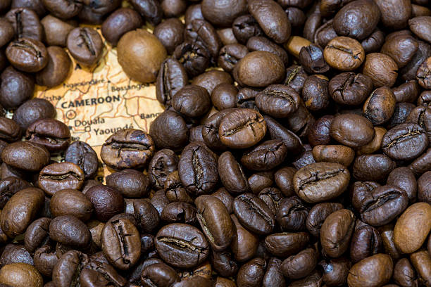istock Map of Cameroon under a background of coffee beans 498119984