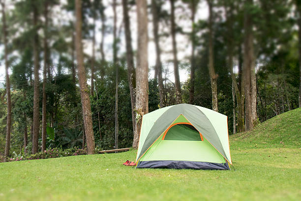 istock Camping Pop up Tent in in the forest 498120076