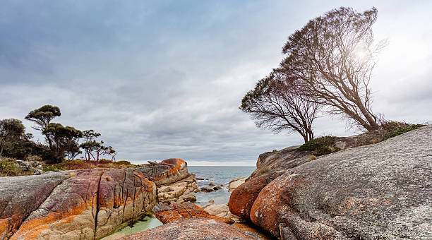 Bay of Fires Tasmania Panorama Australia Bay of Fires Panorama Tasmania, famous red rocks on the east coast of Tasmania. Bay of Fires, Tasmania, Australia. Canon 5DSR 50MPixel Panorama, bay of fires photos stock pictures, royalty-free photos & images