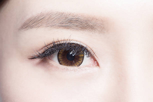 istock Beautiful woman eye 498122650