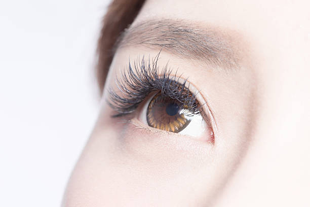 istock Beautiful woman eye 498122870