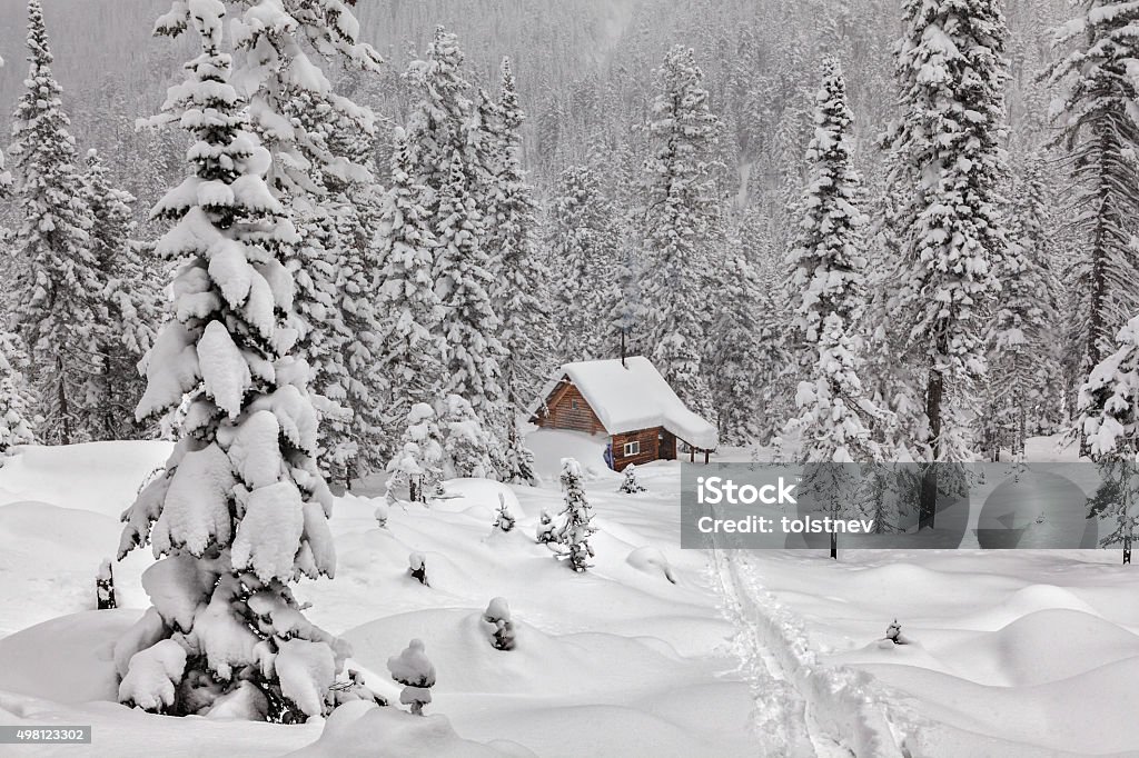 Cottage among snowy forest Small cottage among snowy forest. 2015 Stock Photo