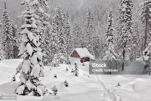 Cottage Among Snowy Forest Stock Photo - Download Image Now - 2015, Cold Temperature, Cottage