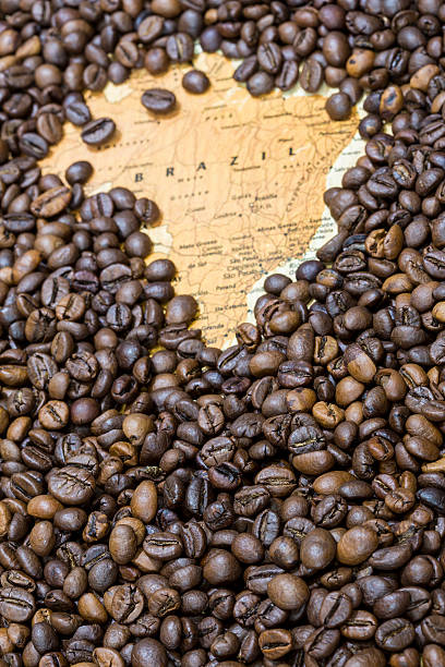 istock Map of Brazil under a background of coffee beans 498124834