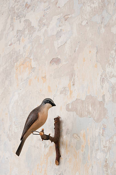 istock small carved bird on a patina wall 498124885