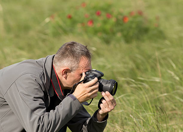 istock Wildlife photography 498125455