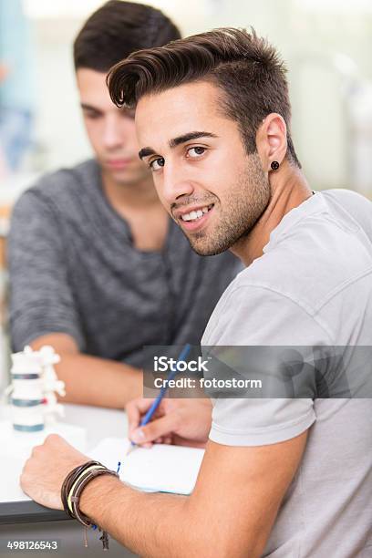 Medical Students Learning About Human Spine Stock Photo - Download Image Now - Adult, Adults Only, Anatomical Model