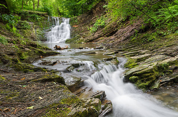 istock Waterfall in Iwla, Beskid Niski mountain range, Poland 498126734