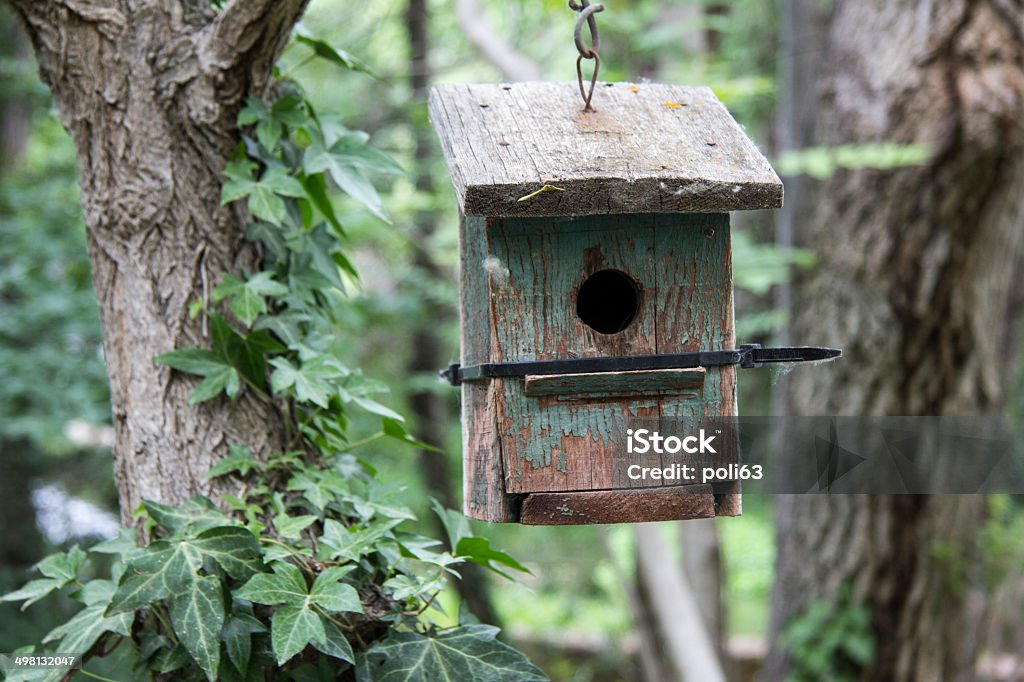 nest Nesting house Aragon Stock Photo