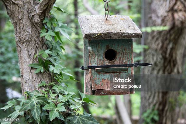 Nest Stock Photo - Download Image Now - Aragon, Bird's Nest, Chicken - Bird