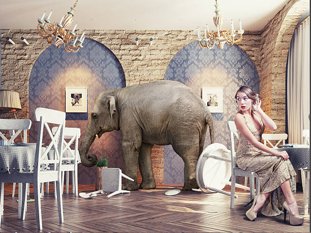 istock an elephant calm in the  restaurant 498140606