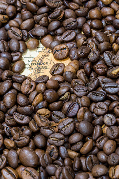 istock Map of Ecuador under a background of coffee beans 498140742